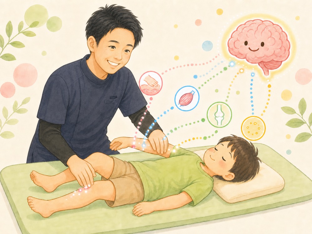 やさしいはりとマッサージで皮膚・筋肉・関節から脳へ感覚を届けるイラスト